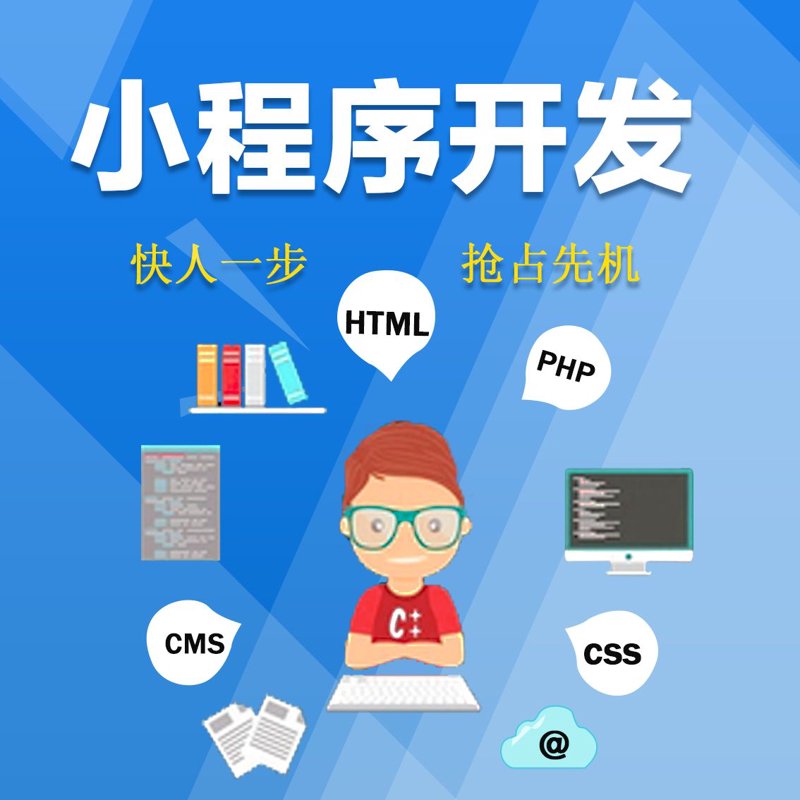 小程序开发选购指南：打造专属你的便捷应用